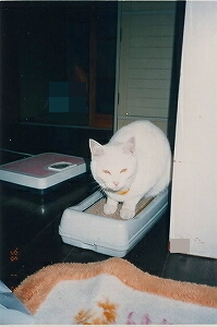 みる5.jpg