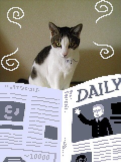 シャルImage.jpg