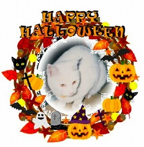ハロウィンミルク.jpg