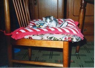 EPSON004.jpg