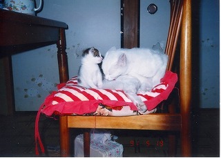 EPSON008.jpg
