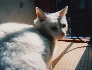 EPSON009.jpg