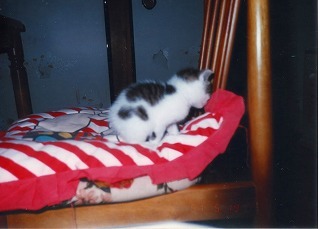 EPSON009.jpg