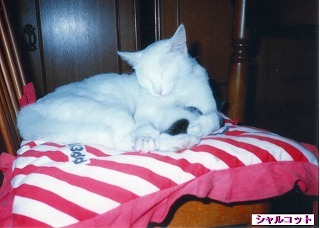 EPSON011.jpg