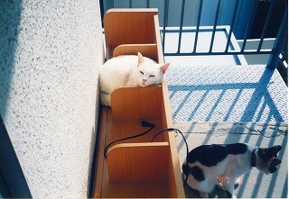 EPSON014.jpg