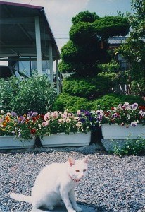 EPSON017.jpg