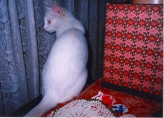 EPSON022.jpg