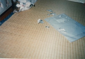 EPSON024.jpg