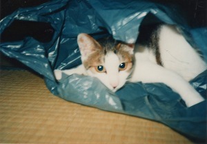 EPSON028.jpg