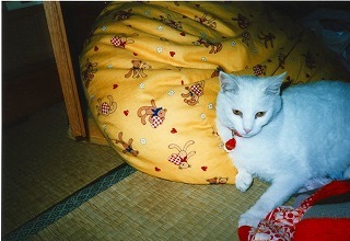 EPSON028.jpg