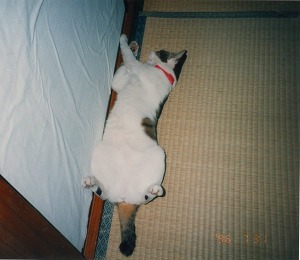 EPSON030.jpg