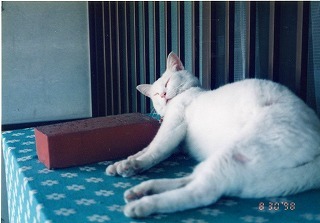 EPSON031.jpg