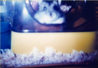 EPSON036.jpg