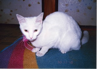EPSON037.jpg