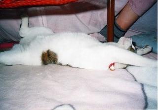 EPSON043.jpg