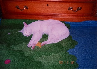 EPSON044.jpg