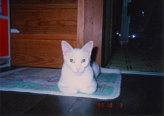 EPSON046.jpg