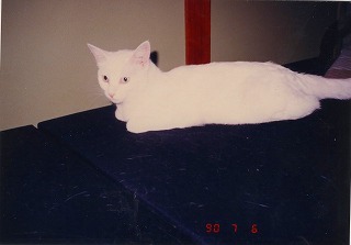 EPSON048.jpg