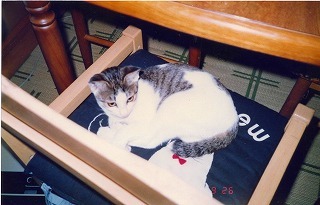 EPSON057.jpg