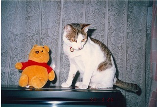 EPSON060.jpg