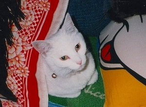 EPSON067.jpg