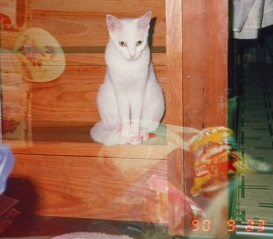 EPSON088.jpg