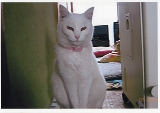 EPSON117.jpg