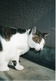 EPSON125.jpg