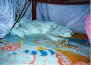 EPSON129.jpg