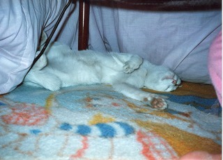 EPSON129.jpg