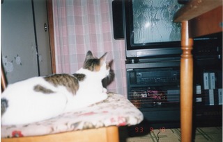 EPSON160.jpg