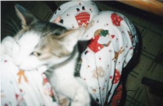 EPSON163.jpg