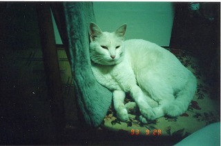 EPSON169.jpg