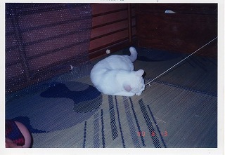 EPSON184.jpg
