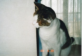 EPSON196.jpg