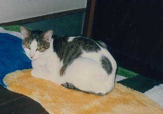 EPSON218.jpg