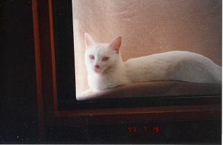 EPSON256.jpg