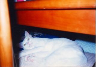EPSON263.jpg