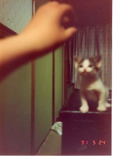 EPSON297.jpg