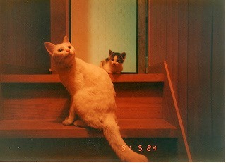 EPSON298.jpg