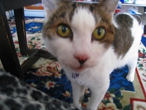 IMG_0046.jpg