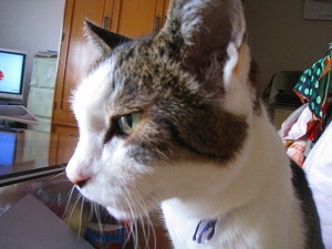 IMG_0092.jpg