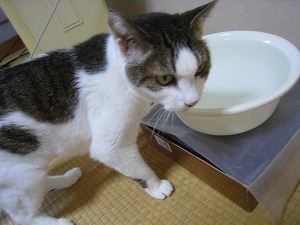 IMG_0627.jpg