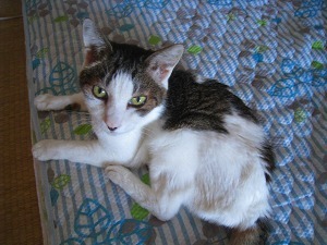 IMG_0654.jpg