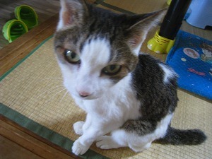 IMG_0862.jpg