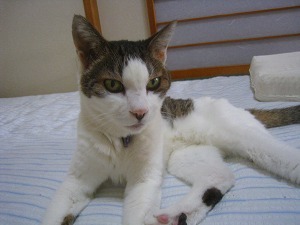 IMG_0896.jpg