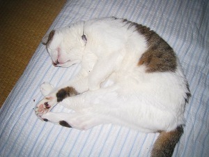 IMG_0901.jpg