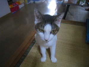 IMG_0903.jpg