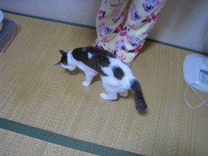 IMG_1189.jpg