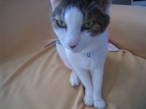 IMG_1228.jpg